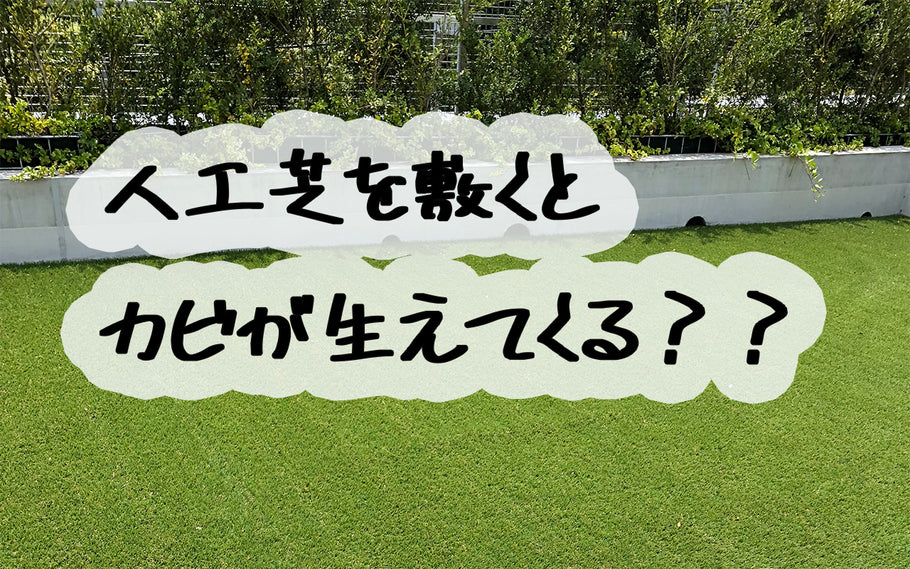 人工芝を敷くとカビが生えてくる？？